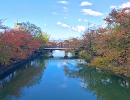 autumn leaves Kyoto