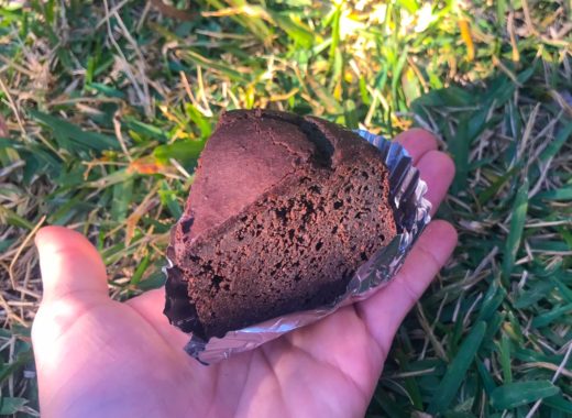 vegan chocolate cake Japan