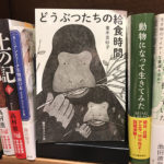monkey book Japan