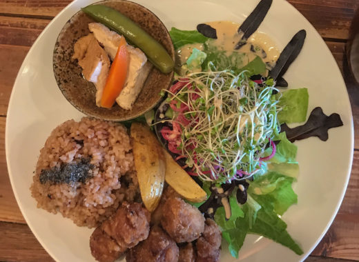 vegan Kyoto University