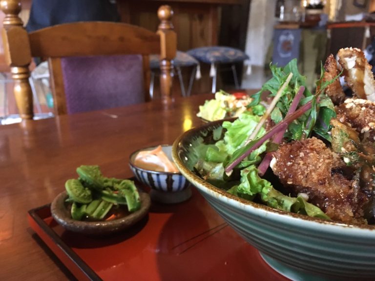 טבעוני בקיוטו