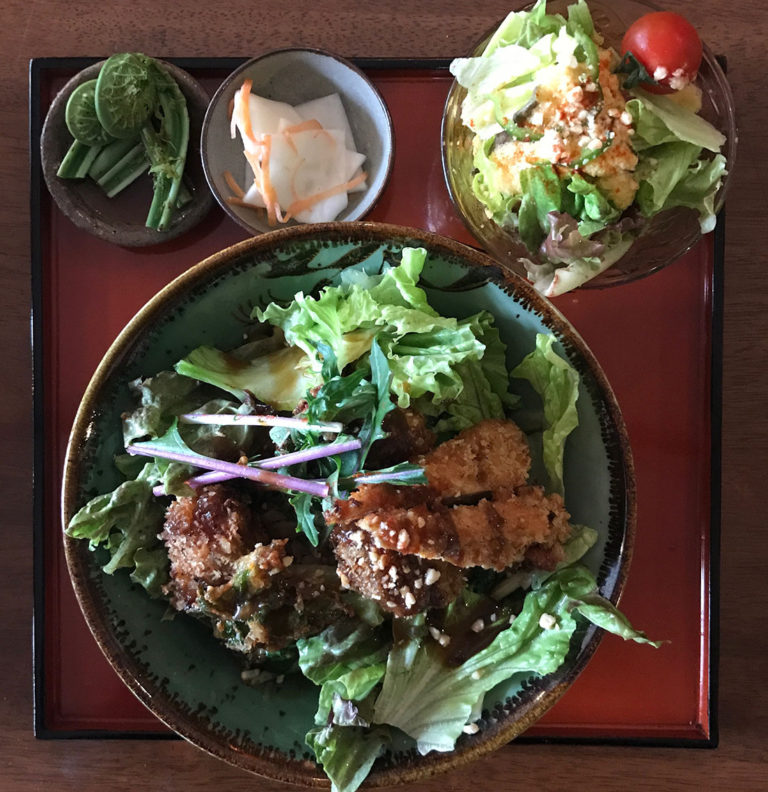 vegan food kyoto