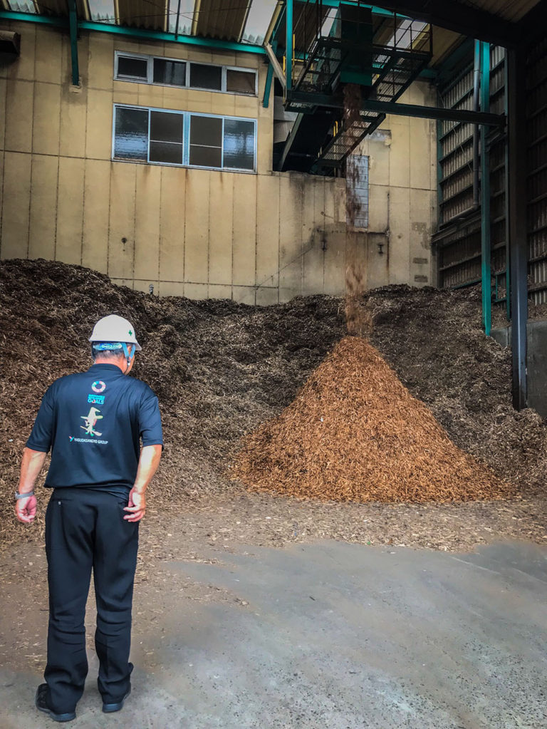 מיחזור ביפן