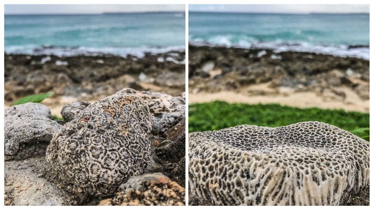 Kenting Beach