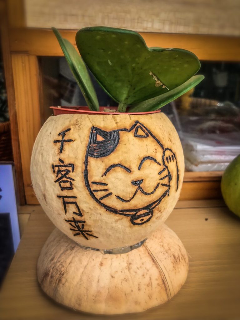 אומנות בקוקוס