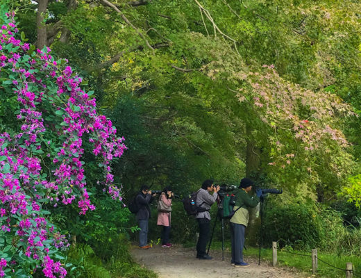Kyoto botanical Garden