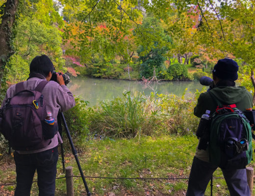 Kyoto botanical Garden