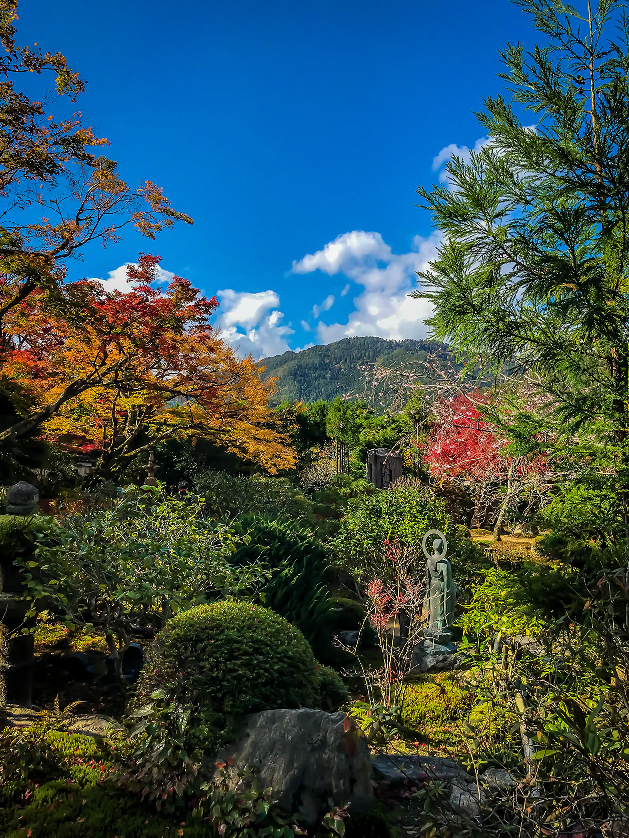 גן בודהיסטי