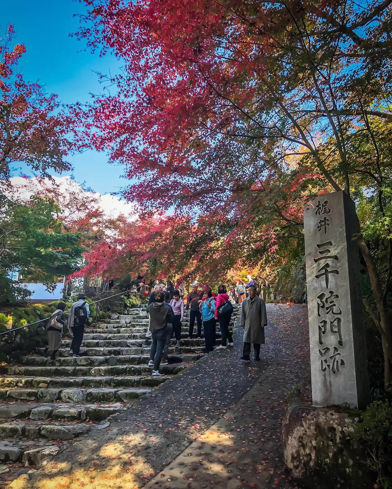אוהרה קיוטו