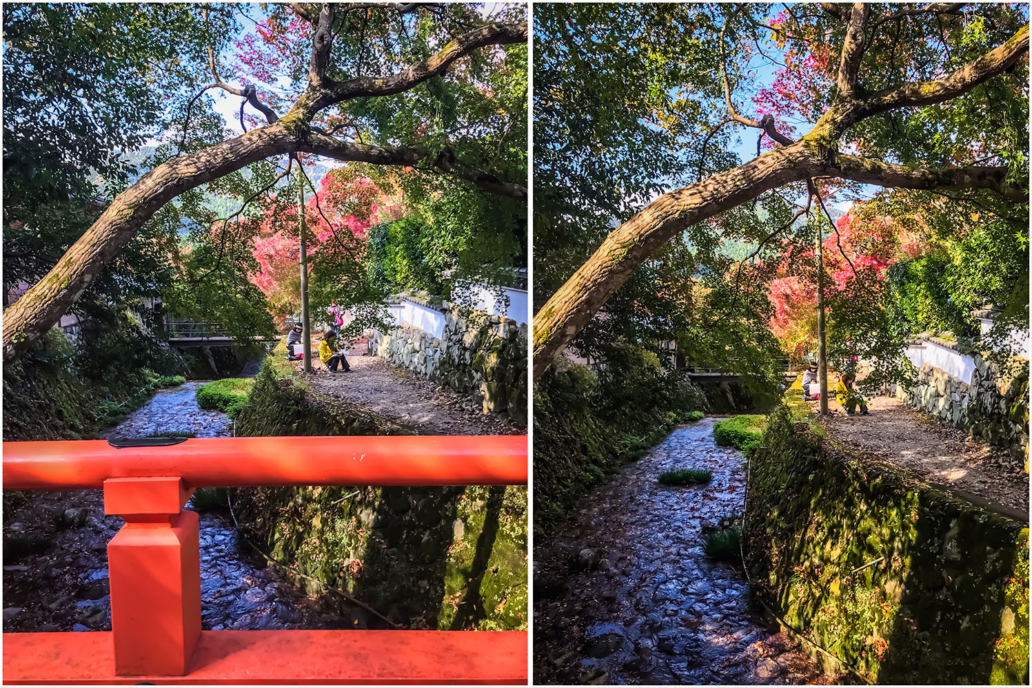 שלכת בקיוטו