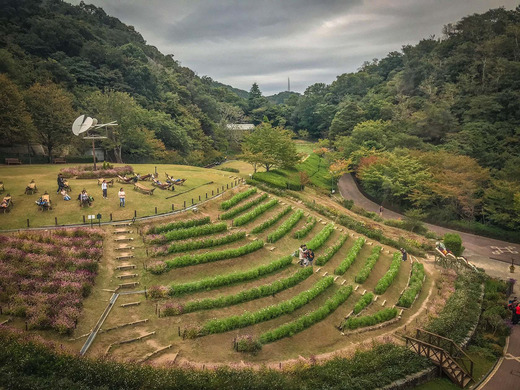 נונוביקי יפן קובה
