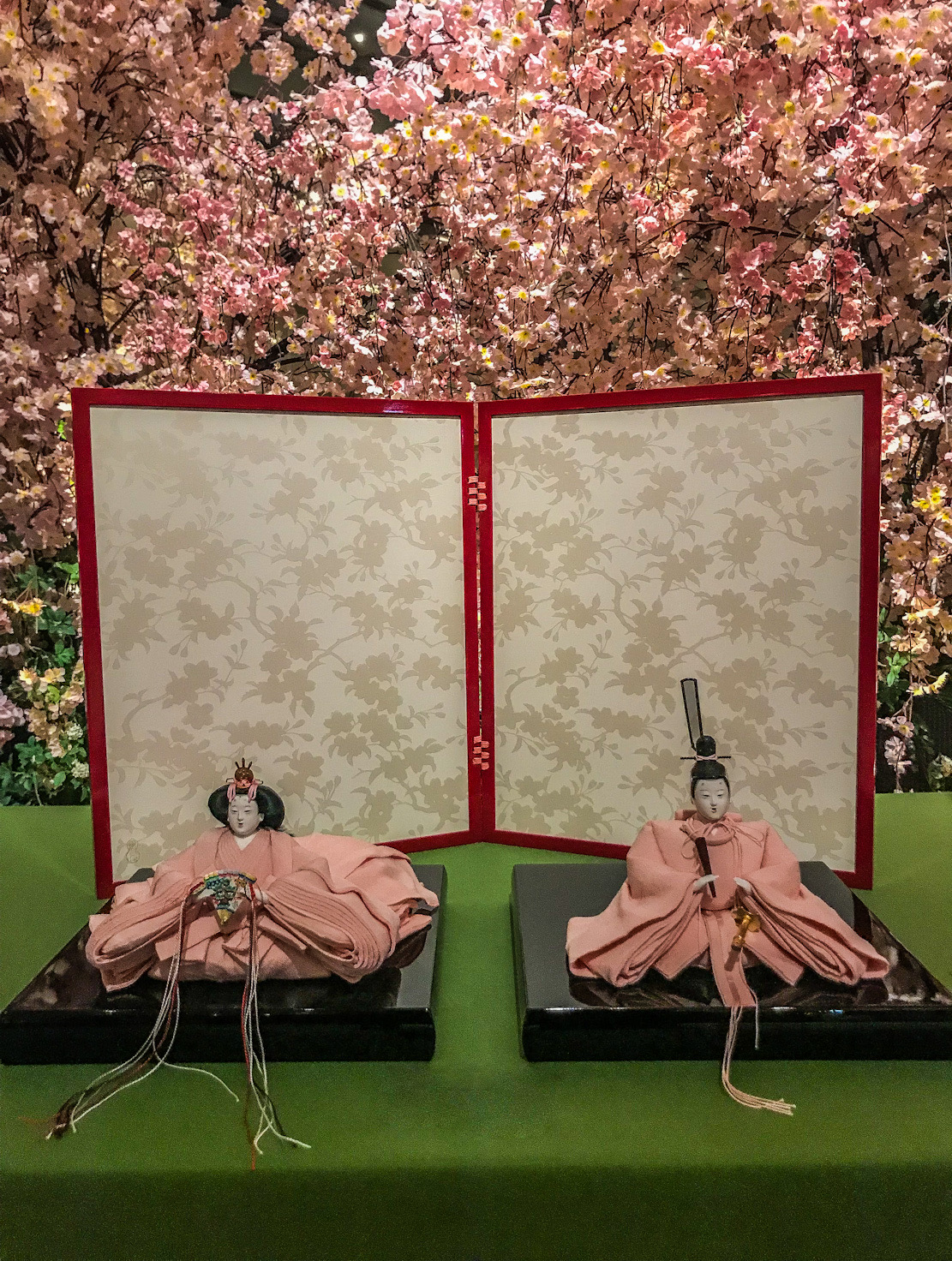 פריחת דובדבן ביפן