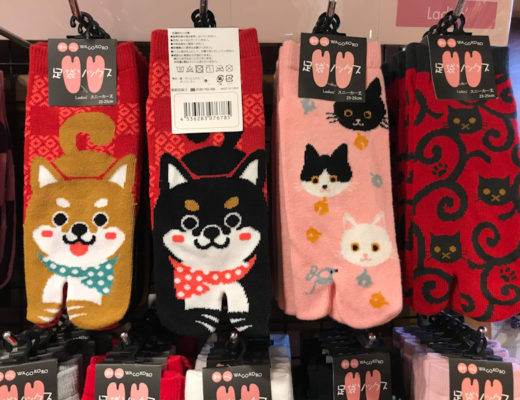 dogs and cats painted on socks