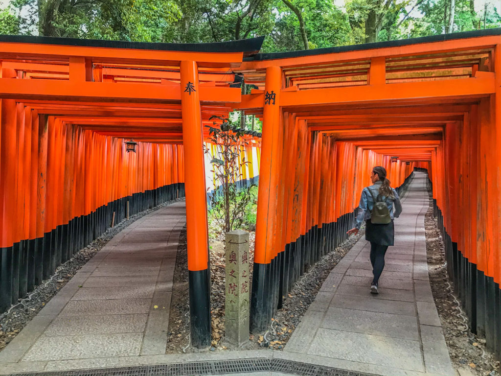 empty Fushimi Inari