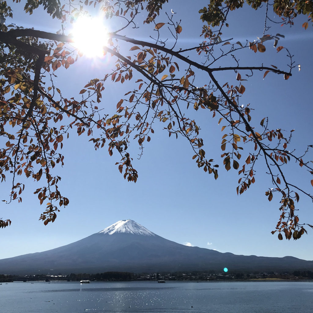 Mount Fuji