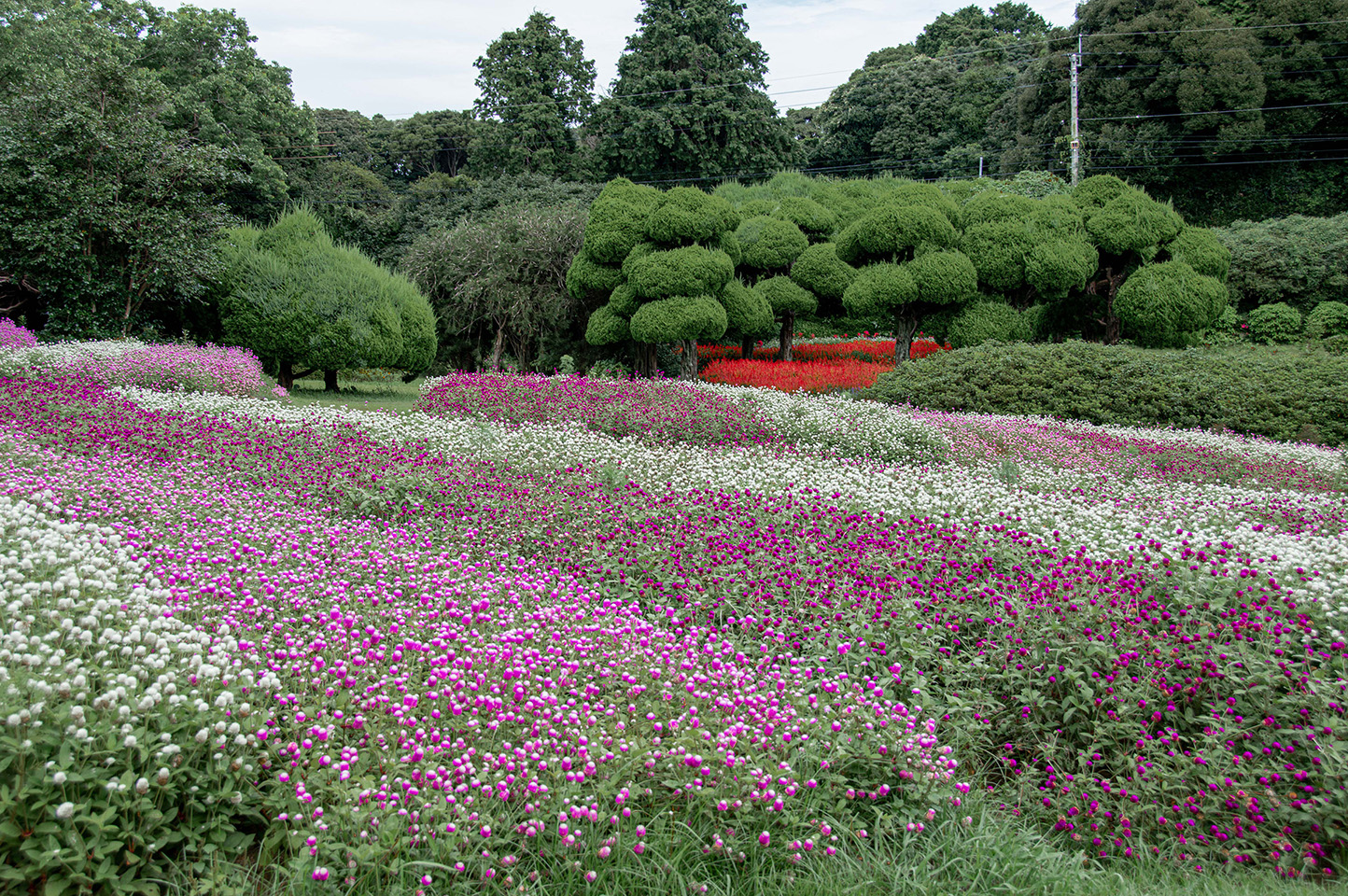 Nokonoshima Island Park