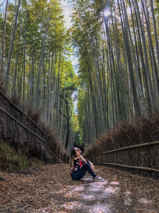 יער הבמבוק קיוטו - יומיים בקיוטו