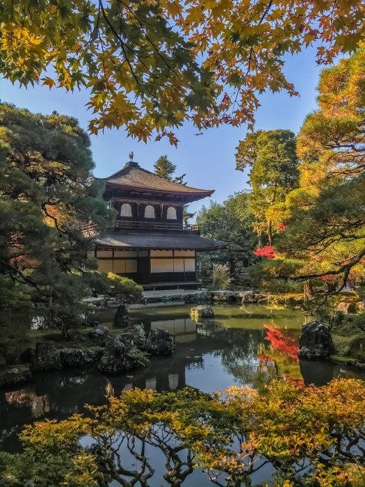 פבליון הכסף